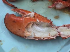 -强记龙虾钳(定安里店)