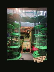 -恐龙探索乐园(磁器口店)