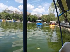 -莲湖公园