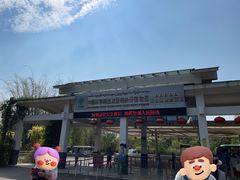 -中国科学院西双版纳热带植物园