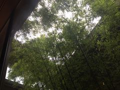-成都观隐颐云台酒店-芳菲秀
