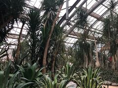-南山植物园