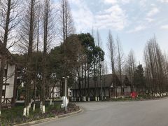 -太阳岛度假酒店