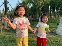 -天津东丽湖风景区