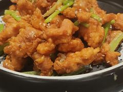 -津悦·正阳春烤鸭(红旗南路店)