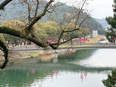 -蒋氏故居