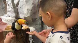 -Zoolung Zoolung动物主题公园(海信广场店)