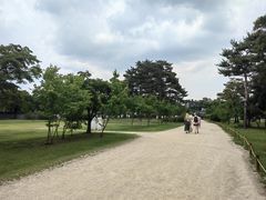 -景福宫