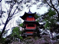 -迎泽公园