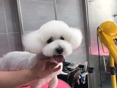 -宠福鑫康馨动物医院·骨科·眼科