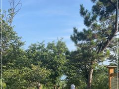 -帽儿山国家森林公园