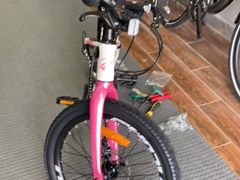 -道路口单车爱瓦士dahon大行