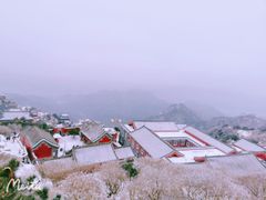 -泰山风景名胜区