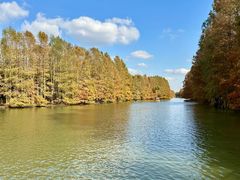 -上海海湾国家森林公园