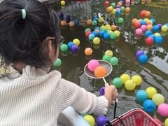 -南湖梦幻岛