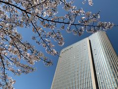 -无锡新湖铂尔曼大酒店