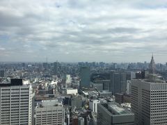 -东京都厅舍