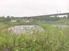 -光明小镇欢乐田园