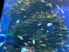 -泉城欧乐堡海洋极地世界