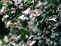 -龙井壹号·茶缘山景宴(龙井村店)