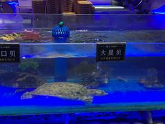 -SEA西雅图海鲜自助餐厅(海乐世界店)