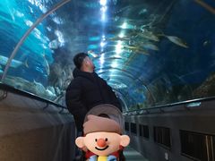 -大连圣亚海洋世界