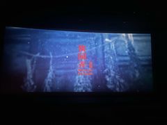 -武商摩尔影城(国广IMAX激光店)