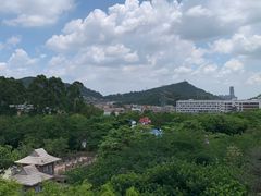 -史努比缤纷世界