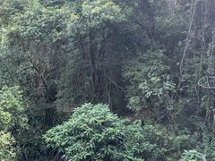 -广东温泉宾馆