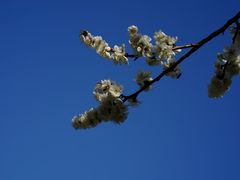 -石湖景区
