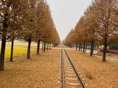 -兰陵国家农业公园