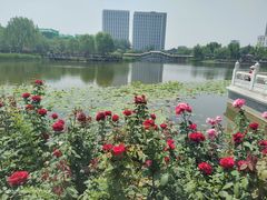 -西海子公园