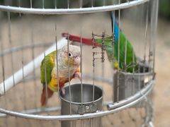 -南宫五洲植物乐园