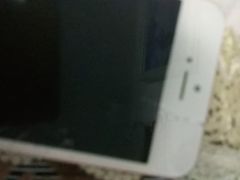 -牛叔鲜羊肉铜火锅(远东小区店)