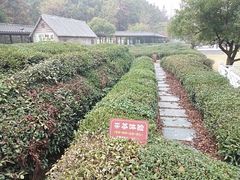 -黄陂区野村谷景区