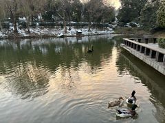 -天目湖涵田半山温泉