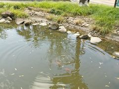 -苏州河梦清园环保主题公园