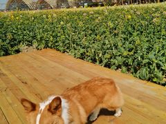 -中国天府农业博览园