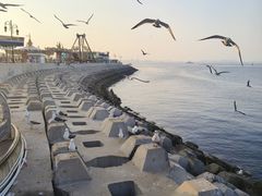 -东港音乐喷泉广场