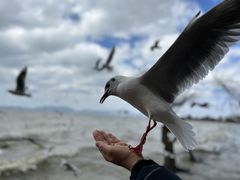 -捞渔河湿地公园