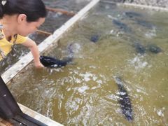 -陈大锅·岳阳鱼馆·地道岳阳菜(美食街店)