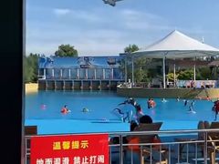 -海盗传奇水世界