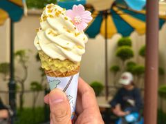 -IL paperino帕帕里诺冰激凌