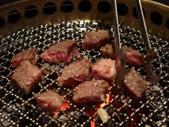 -300杯·和牛烧肉清酒专门店(廊里店)