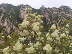 -北京凤凰岭