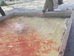 -白塘生态植物园