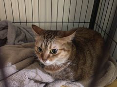 -H立方实景剧情密室(天河旗舰店)