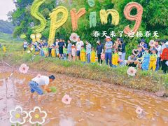 -宾果蒙特梭利托育儿童之家幼儿园(爱琴海店)