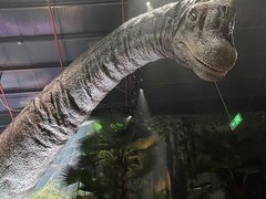 -侏罗纪世界电影特展(广州站)