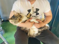 -BD健身私教工作室(CBD店)
